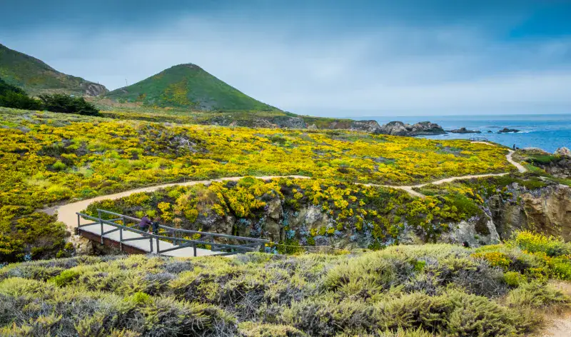 Soberanes Canyon Trail (Garrapata State Park, near Carmel)