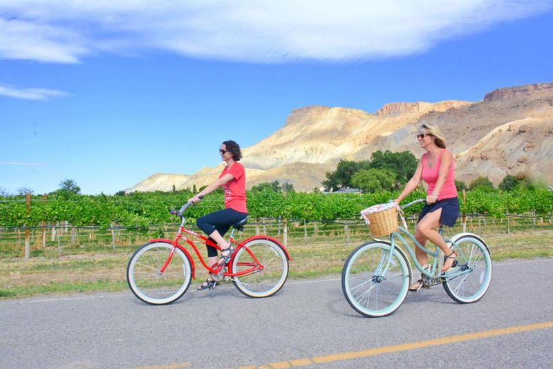 Creative Wine Touring Adventures