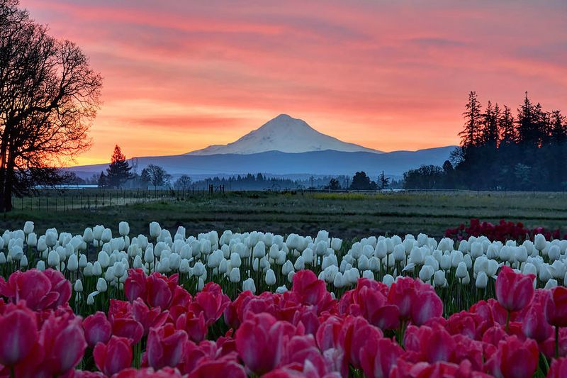 Photographer's Paradise at Golden Hour