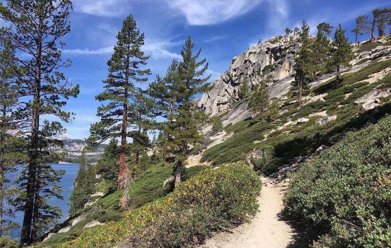 Tahoe Rim Trail, California/Nevada (USA)