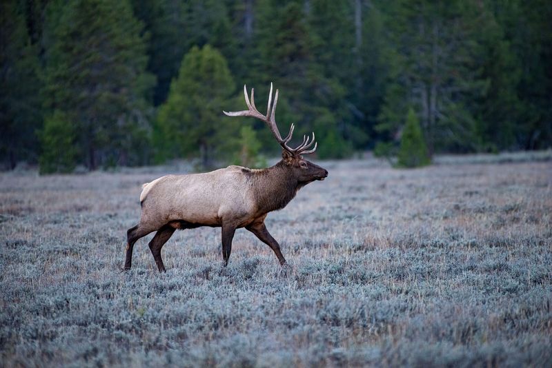 Grand Teton National Park (Wyoming)