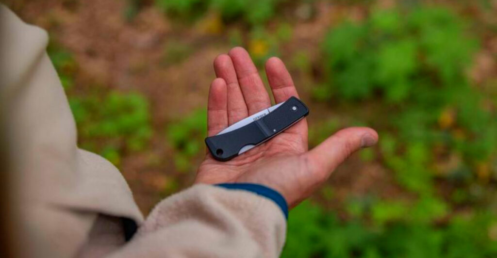 10 Best Folding Knives for Backpackers Under $40