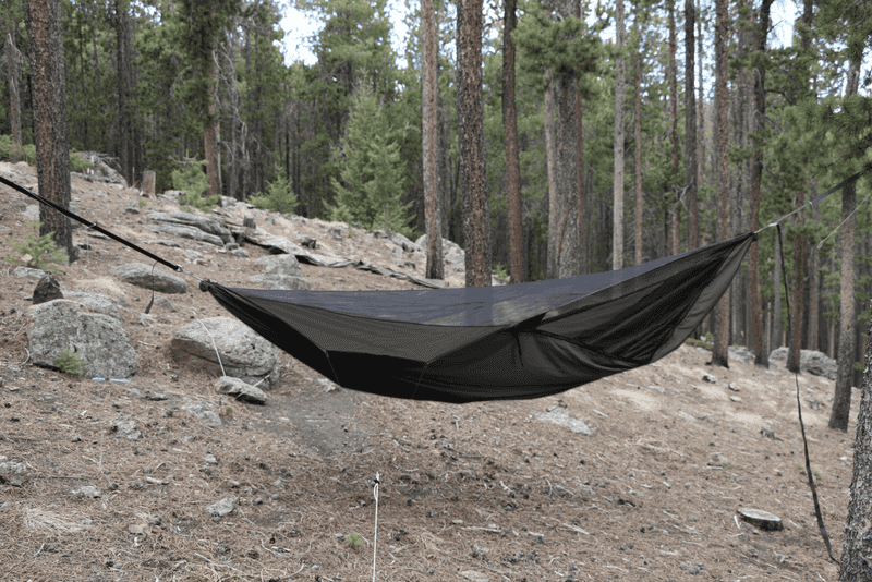 Warbonnet Blackbird