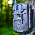 10 Best Trail Cameras to Help You Capture Wildlife Without Disturbing It