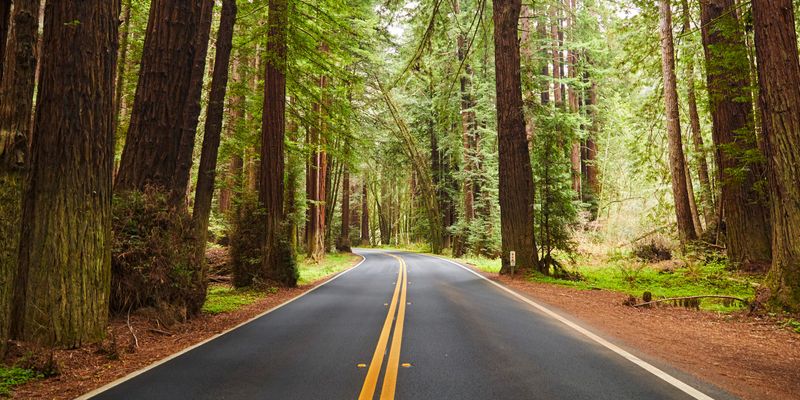 Highway 128 - Anderson Valley to the Coast