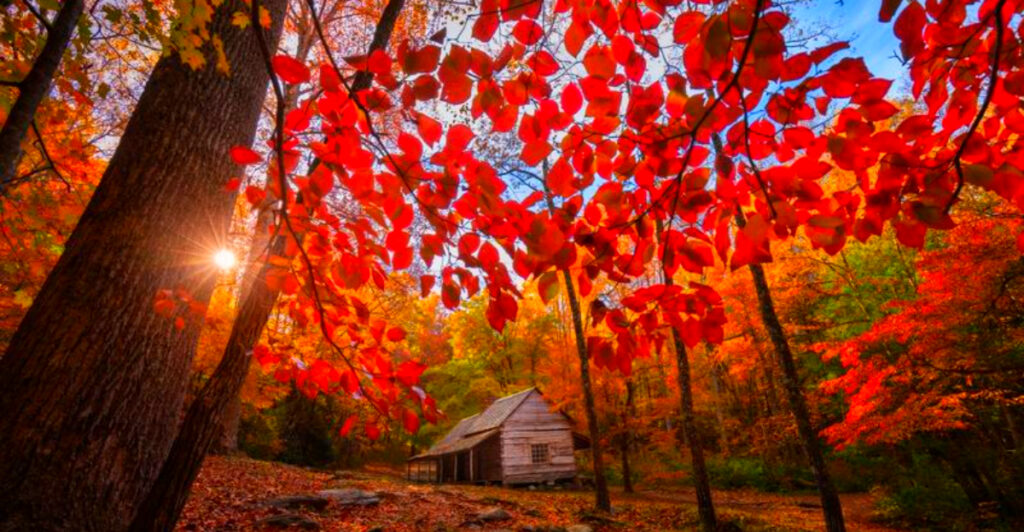 11 Hidden Tennessee Gems Where Fall Colors Will Leave You Speechless