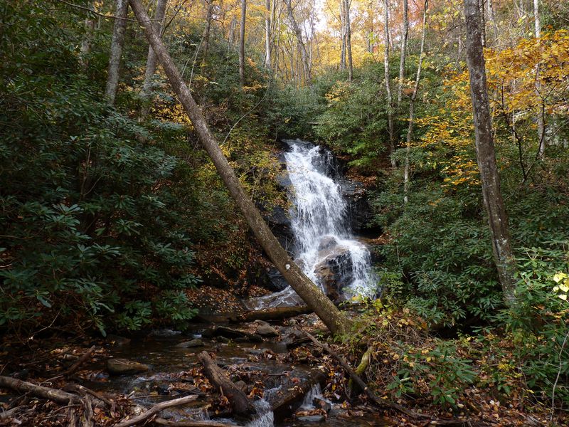 Log Hollow Falls