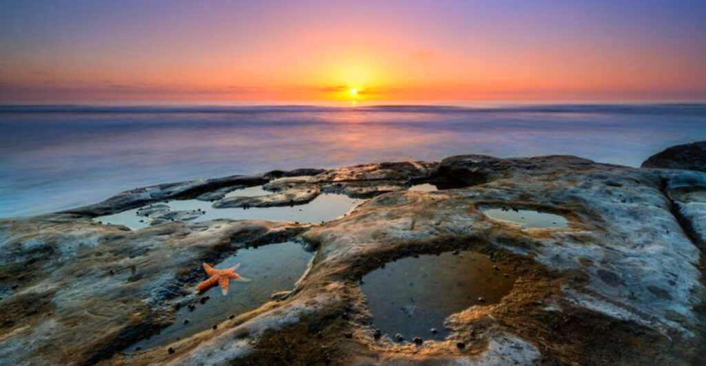 12 Incredible Tide Pools You Can Explore Without Hardcore Gear