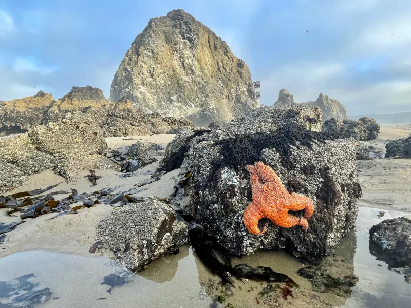 Haystack Rock, Cannon Beach, Oregon
