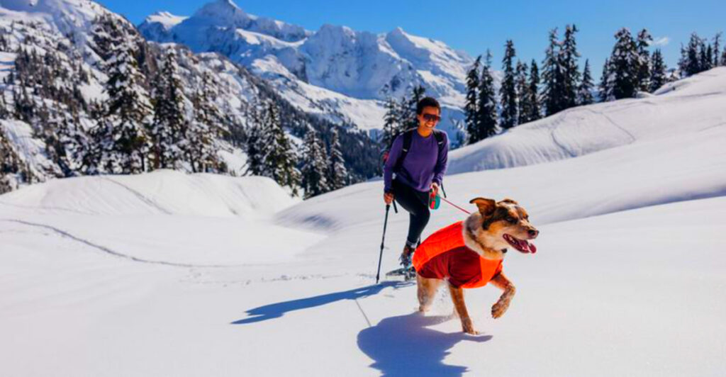 12 Mistakes to Avoid When Hiking with Your Dog This Winter