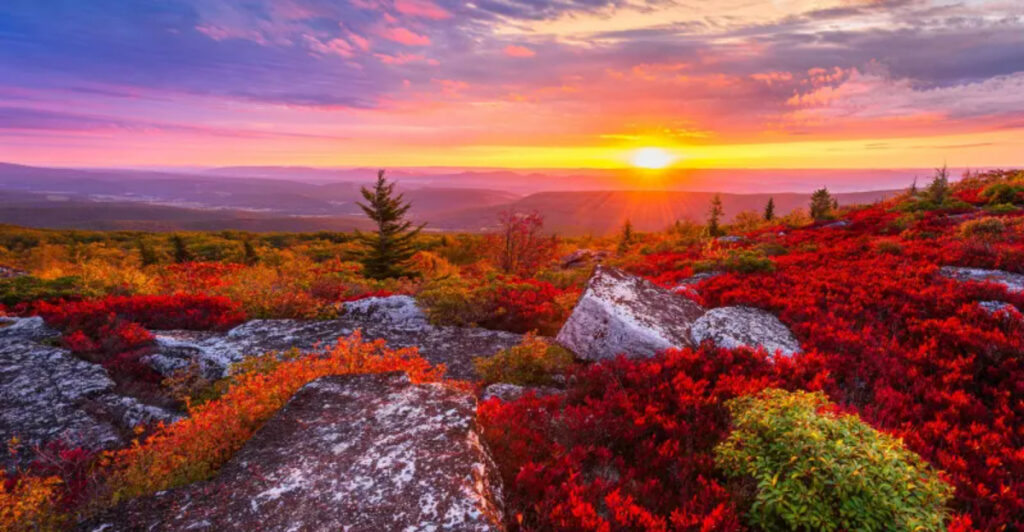 12 Romantic Fall Hikes for Couples (Reviewed)