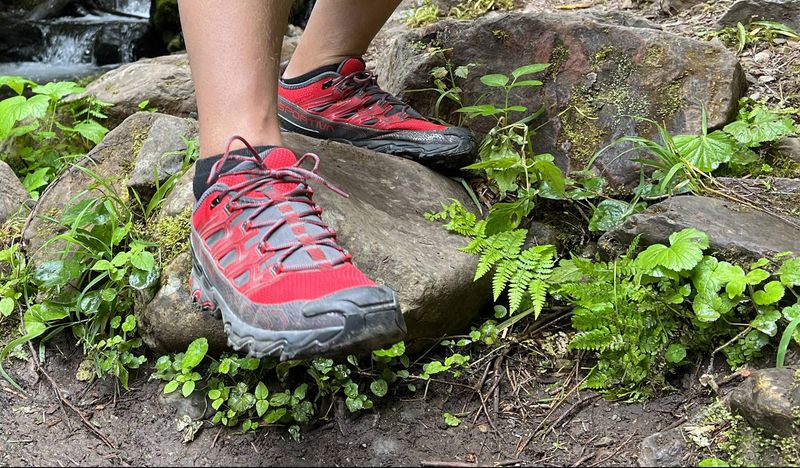 Trail Footwear (trail runners or light boots)