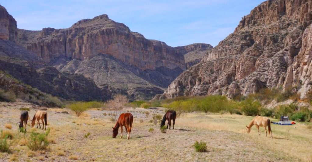 15 Smart Tips Before You Visit America’s “Deadliest Canyon” in Texas