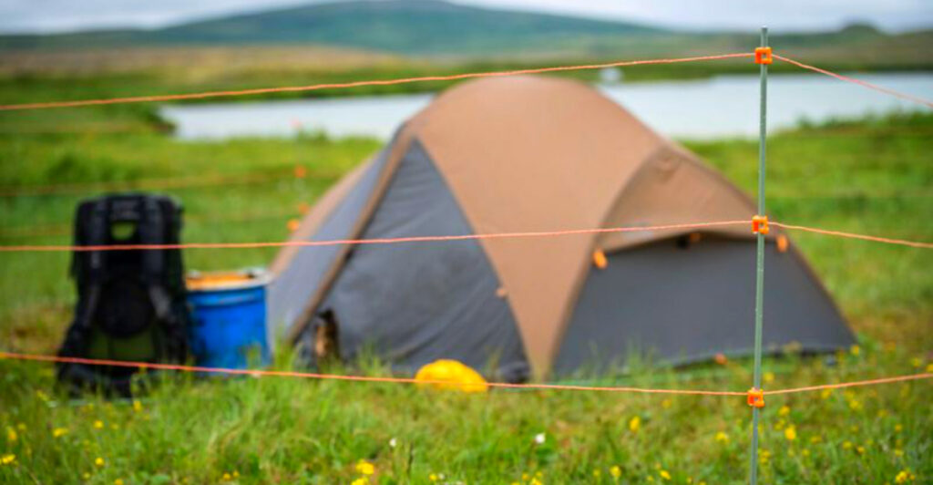 16 Bear-Safety Essentials Every Hiker Should Pack (Backed by Park Rangers)