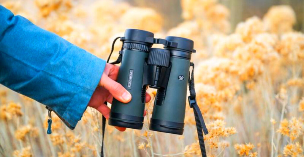 16 Best Compact Binoculars for Birdwatchers and Hikers