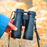 16 Best Compact Binoculars for Birdwatchers and Hikers