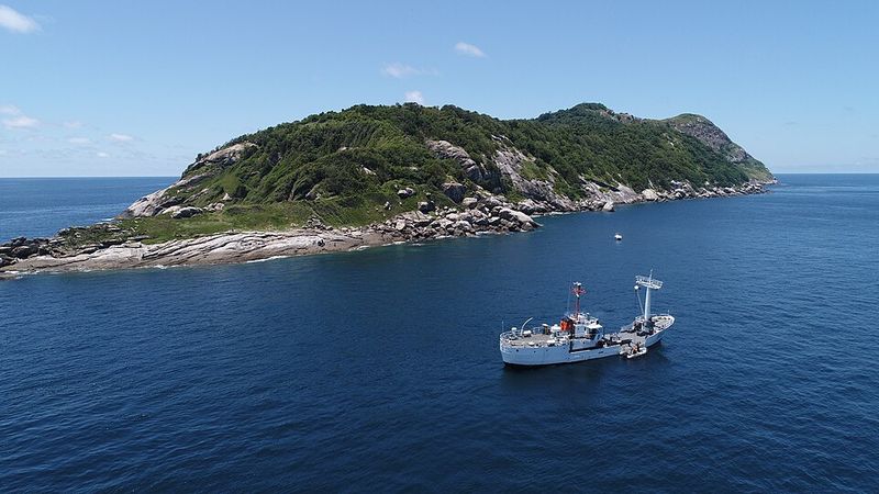 Ilha da Queimada Grande (“Snake Island”, Brazil)