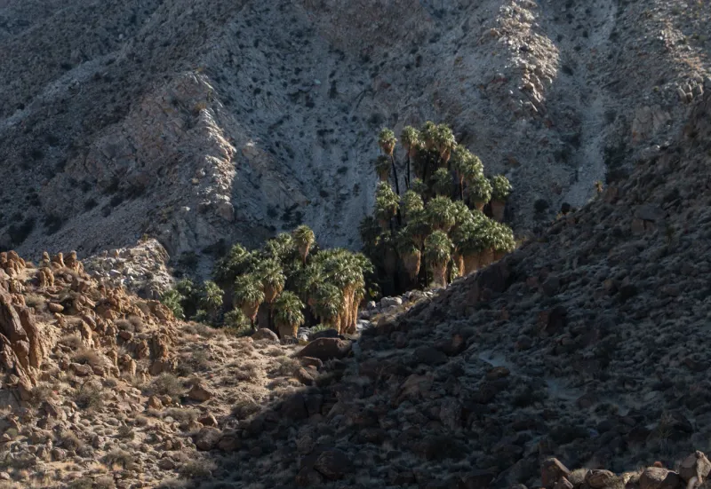 4. Ancient Lifeline for Tribes