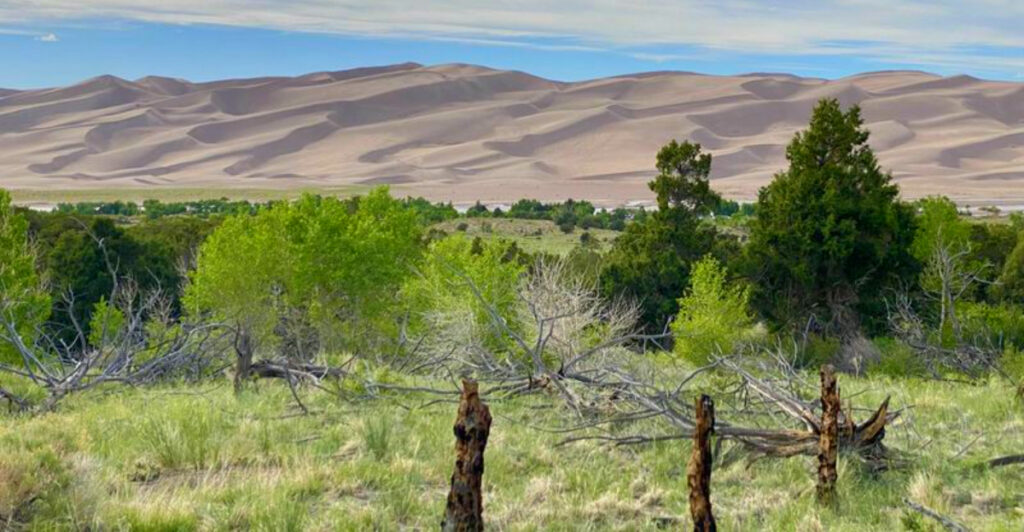 5 Hidden Spots at Great Sand Dunes, Colorado That Locals Hope You Never Find