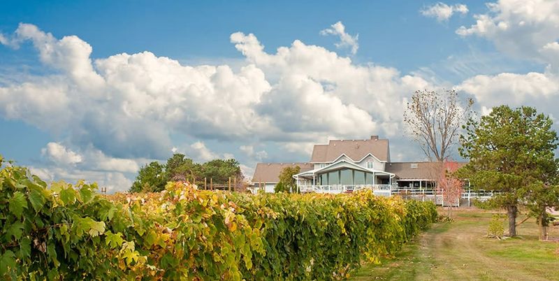 Mackinaw Valley Vineyard & Winery