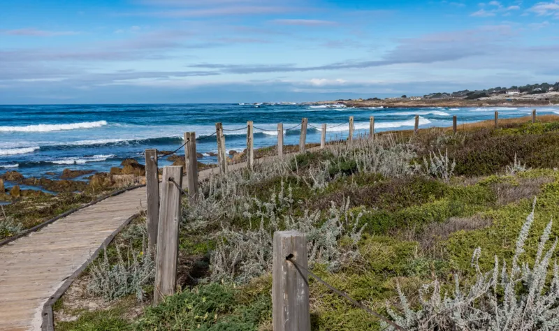 Asilomar Trail – Pebble Beach