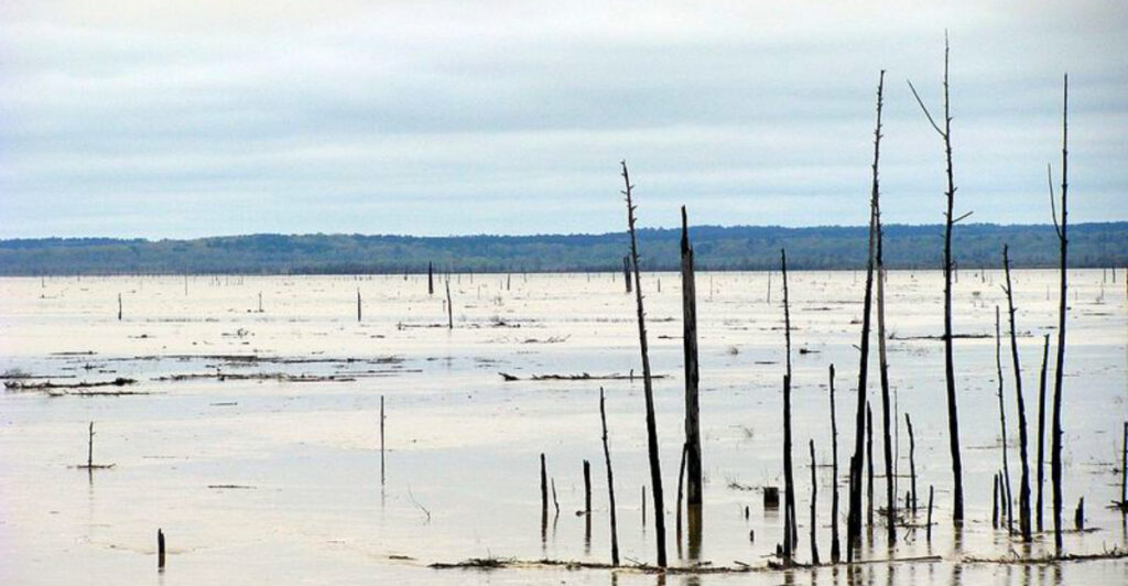 6 Mississippi Catfish Spots With Views So Good You’ll Stay for Sunset