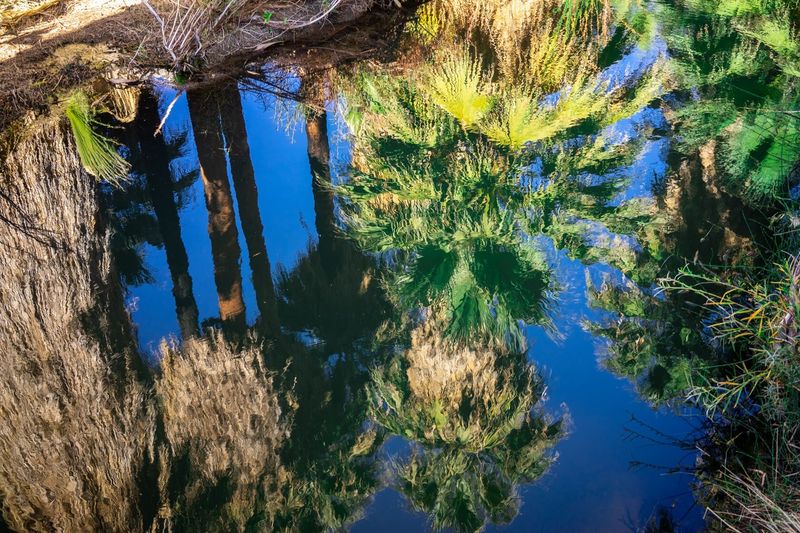 9. Fragile Ecosystem to Protect