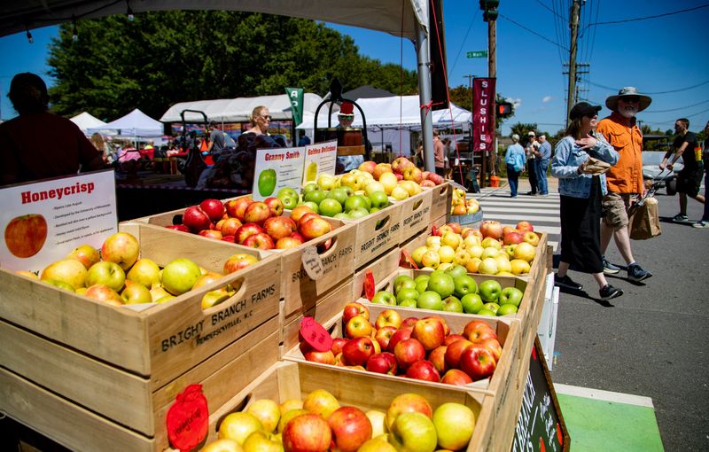 Apple Paradise at North Carolina Apple Festival