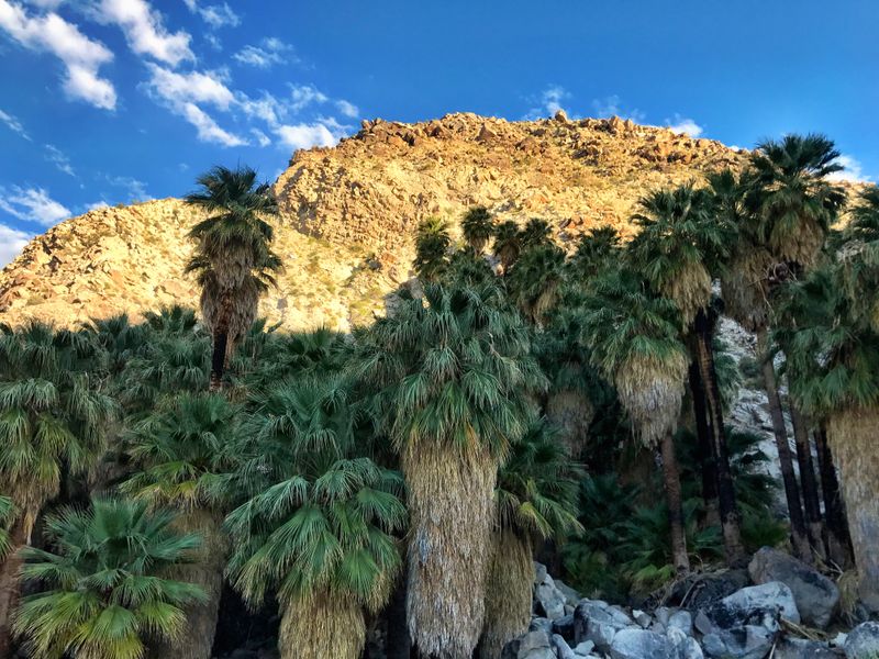 10. California’s Hidden Gem