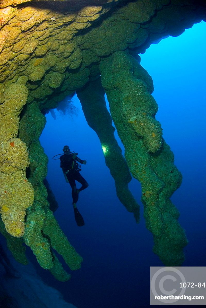 Ancient Stalactites Frozen in Time