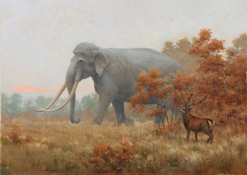 Walking Among Giants