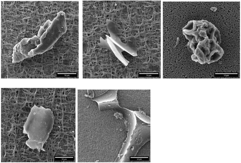Discovering Nanoplastics in Bottled Water