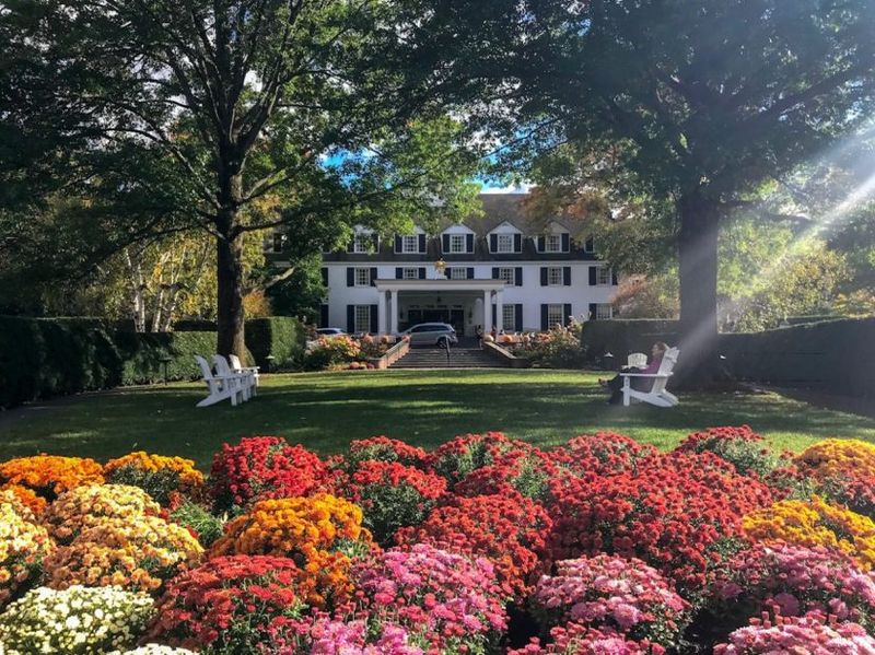 Springtime Blooms and Country Charm