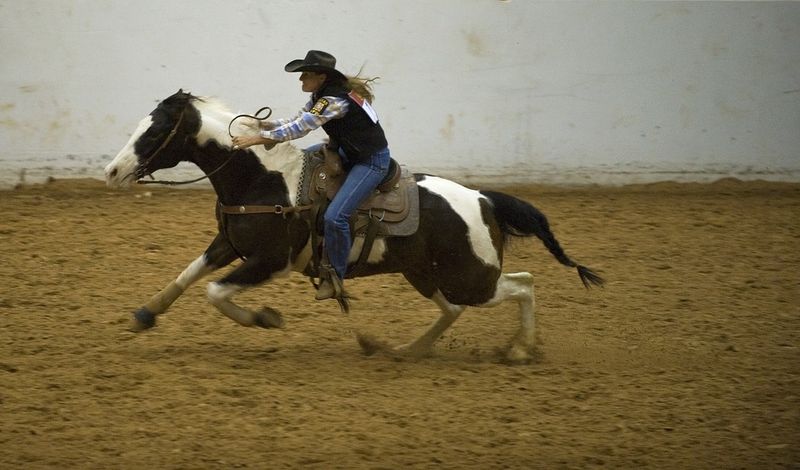 Bergeron Rodeo Grounds: Florida's Rodeo Heartbeat