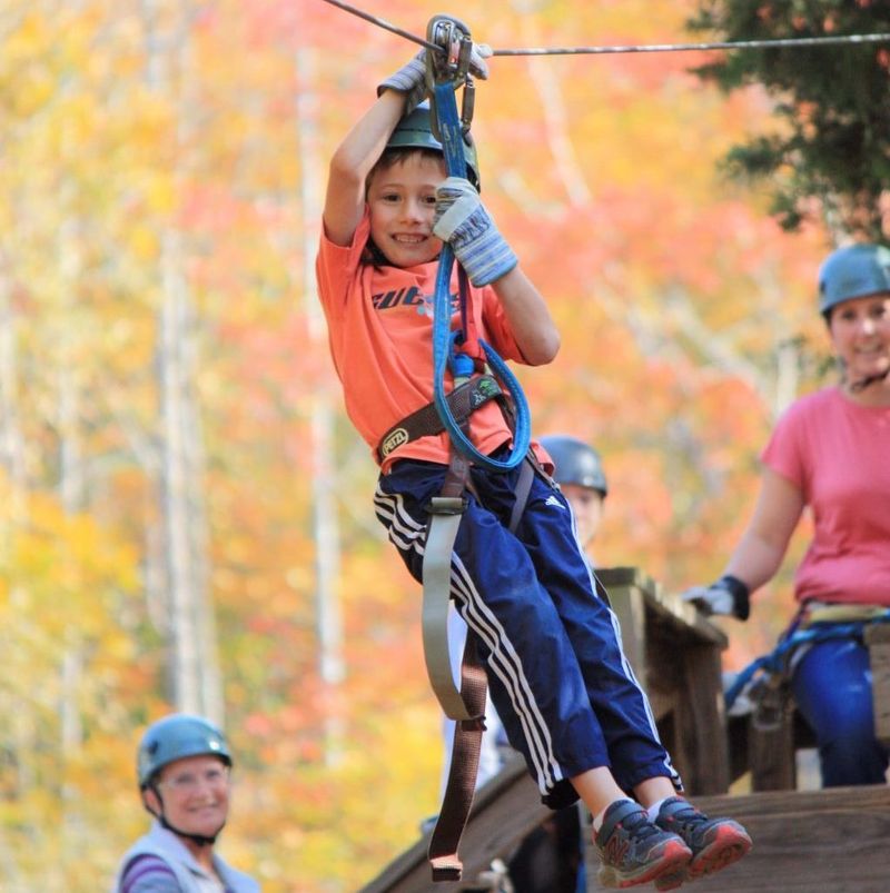 Zipline over creeks and hardwoods
