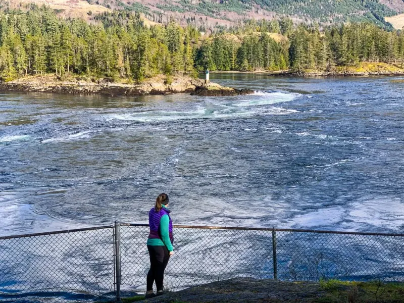 Skookumchuck Narrows: one of B.C.'s great natural spectacles