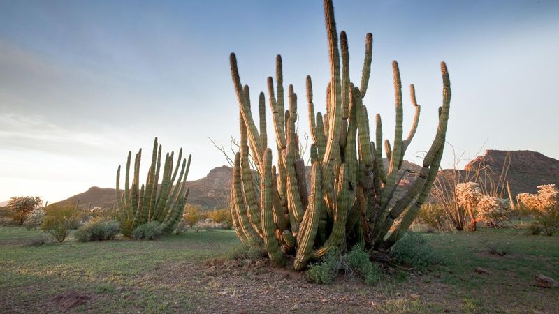 Nearby wilderness and national monuments