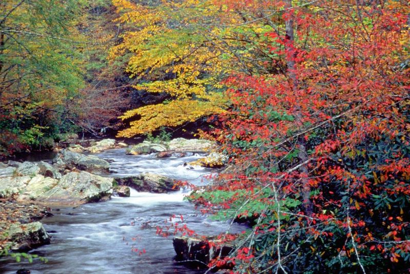 Great Smoky Mountains National Park, TN/NC
