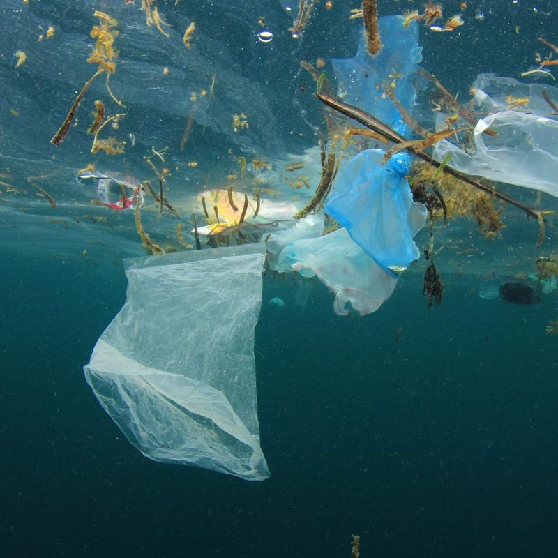 Single-Use Plastic Is Outdated and Harmful