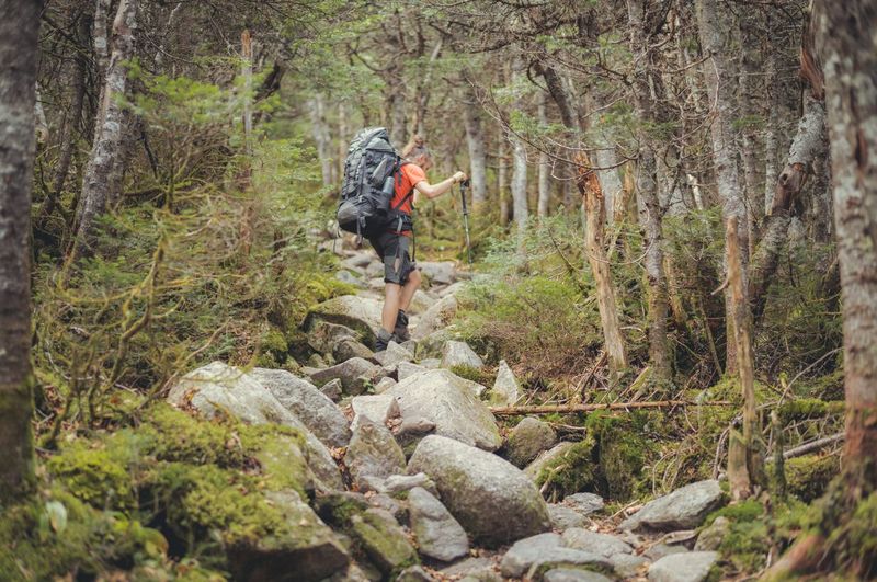 New Hampshire — Small State, Giant Heart