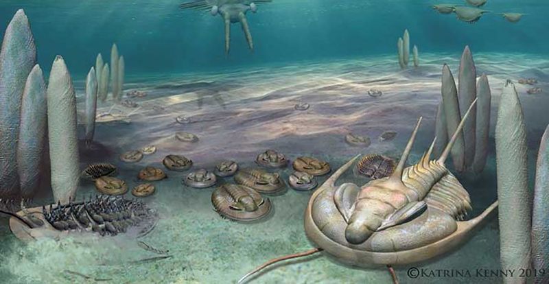 Fossil Ecosystem Revealed