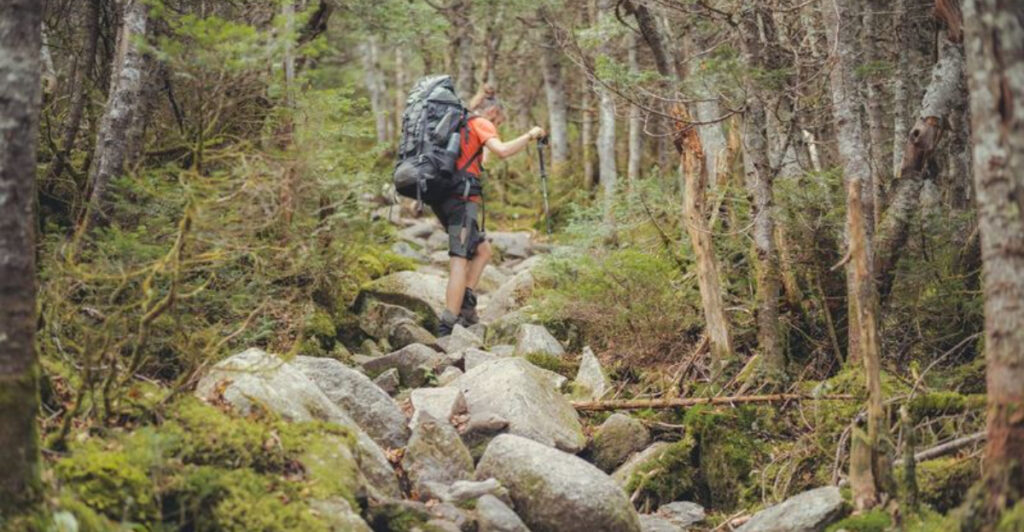 America’s 5 Best States for Hiking, According to Experts