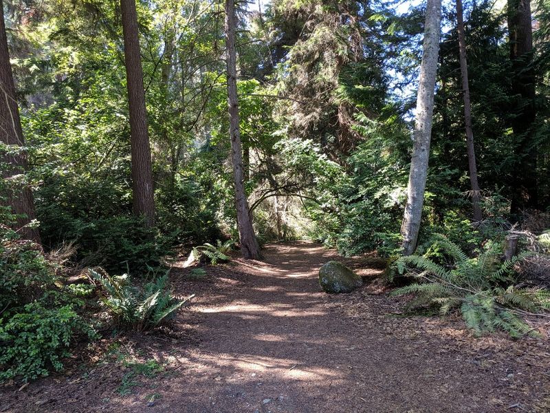 Picturesque Promenades