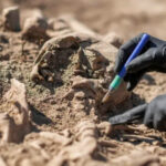 Ancient DNA Reveals 214 Pathogens — Hinting at the Earliest Known Pandemic