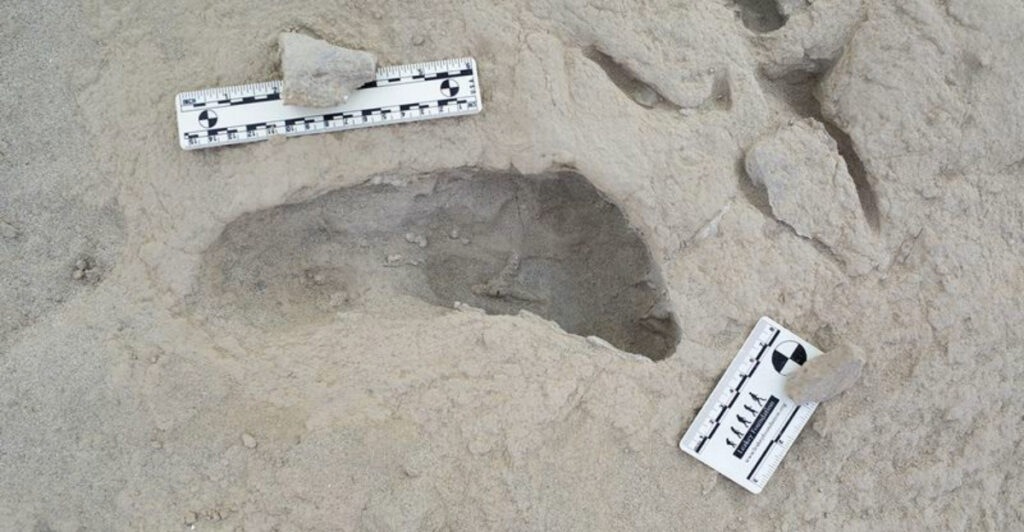 Ancient Footprints In Germany Capture A Prehistoric Family Traveling 300,000 Years Ago