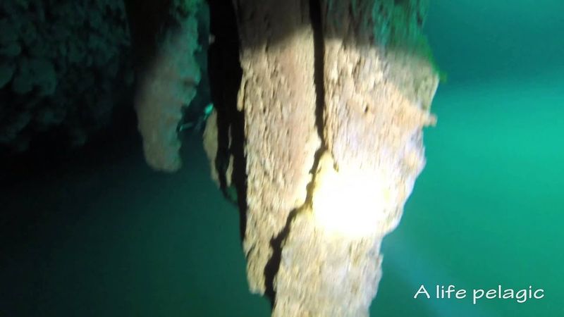 The Hydrogen Sulfide Curtain of Death