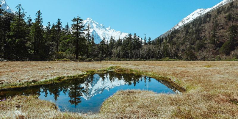 A Wake-Up Call for Conservation