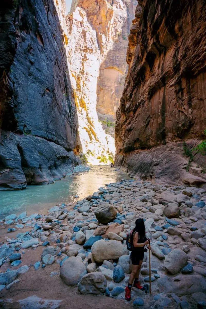 The Narrows (Bottom-Up) — Zion National Park, UT