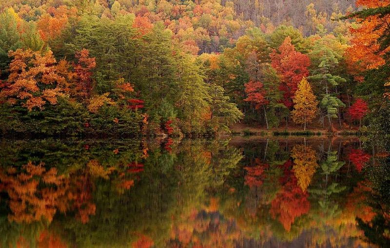 Unicoi State Park Adventures