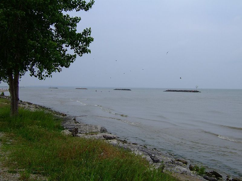 Nearby Attractions and Activities